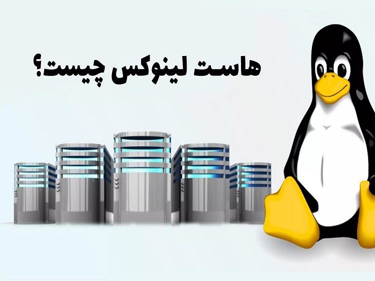 هاست لینوکس چیست