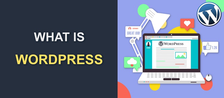 وردپرس یا ASP NET کدام یک بهتر است